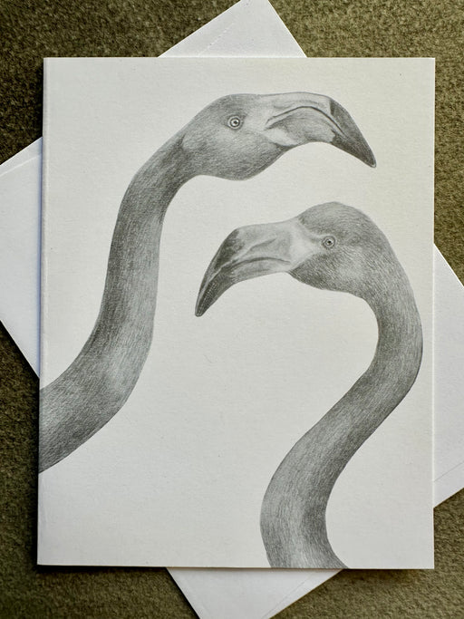 "Iggy & Mags Herman American Flamingo" Card