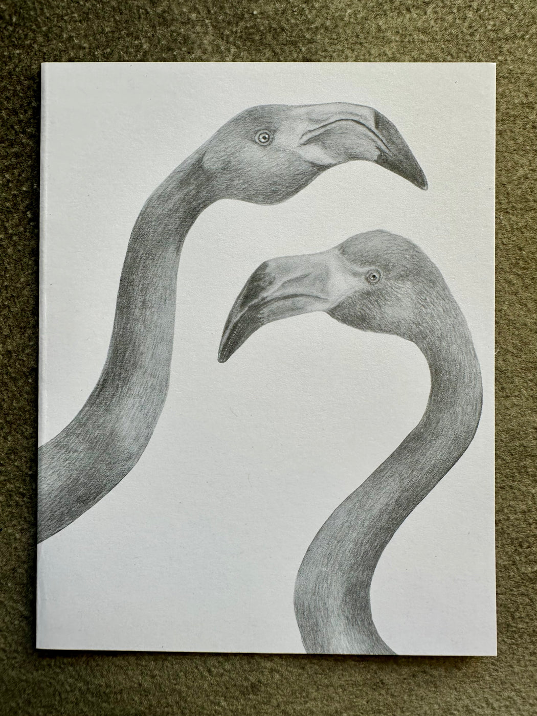 "Iggy & Mags Herman American Flamingo" Card