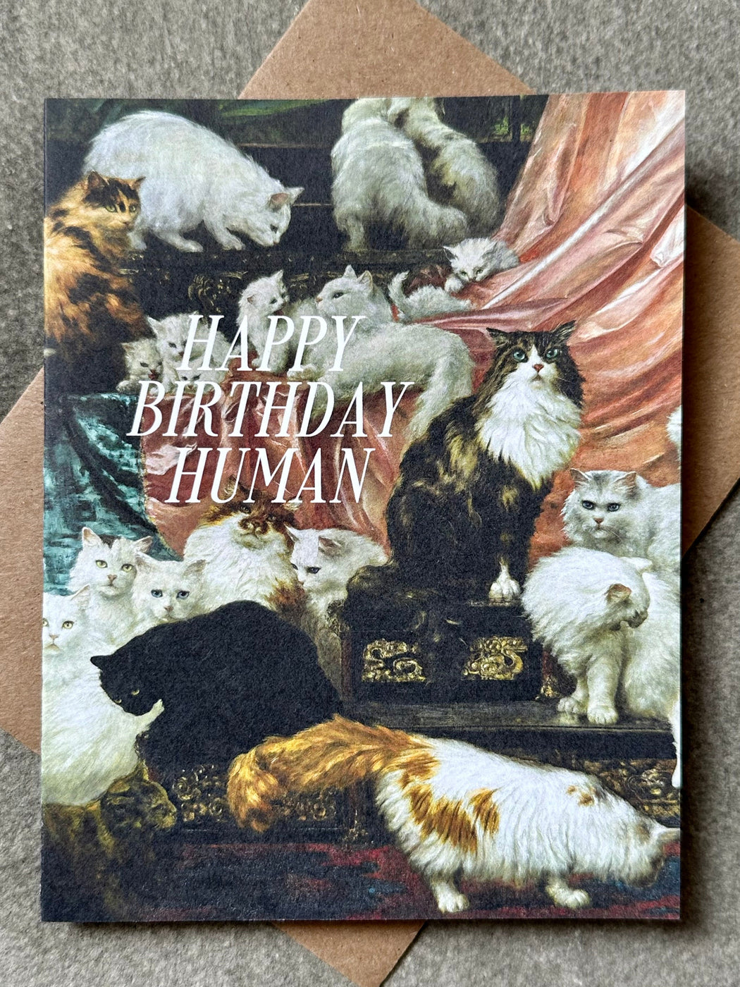"Happy Birthday Human" Card
