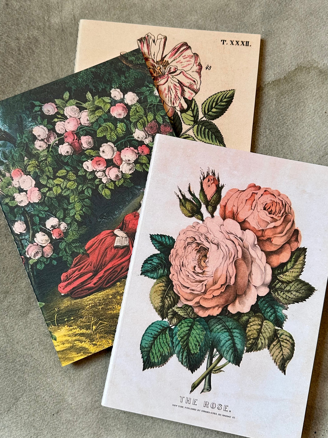John Derian "Everything Roses"  Notebooks