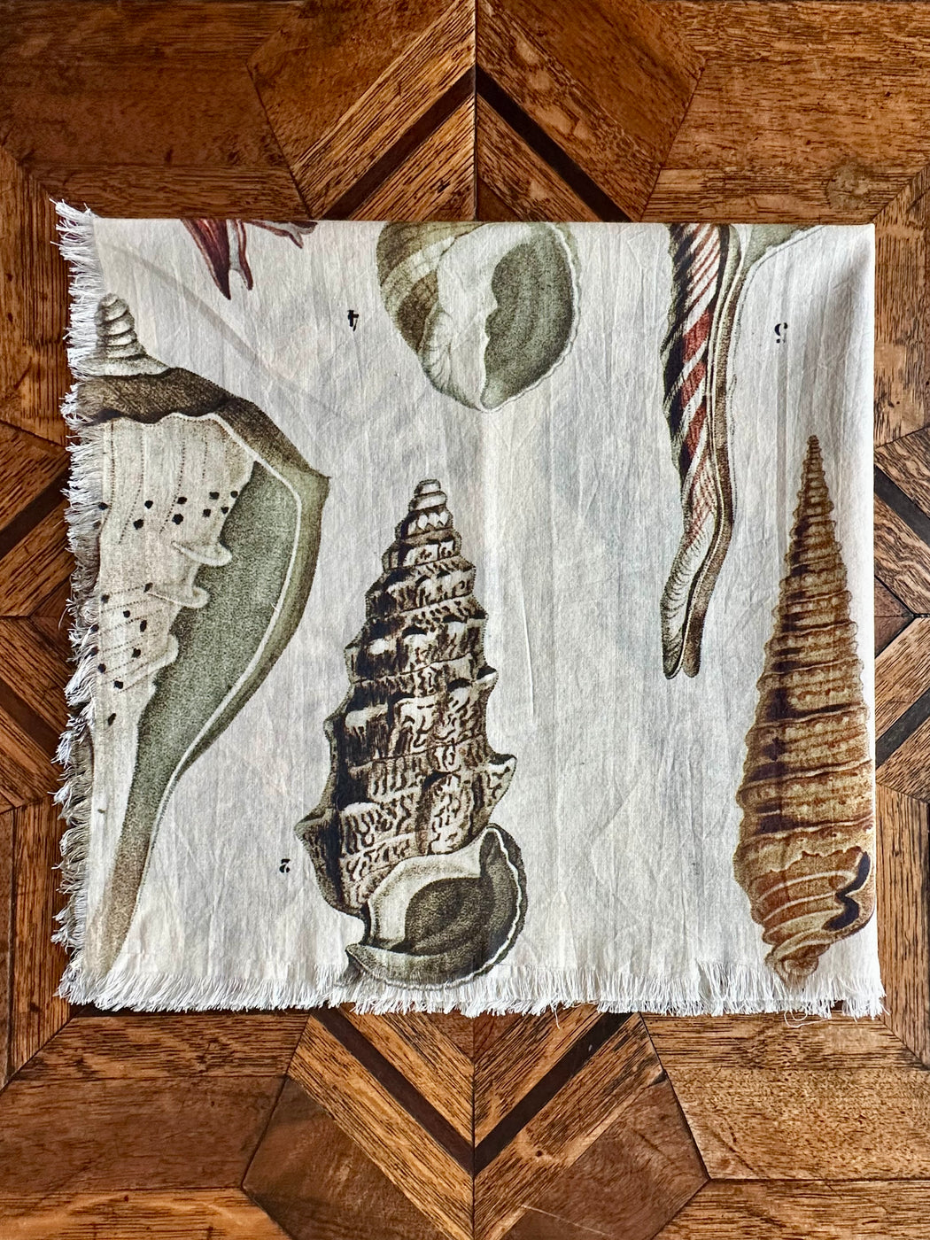 "Sea Shells" Cotton Scarf by Siren Song