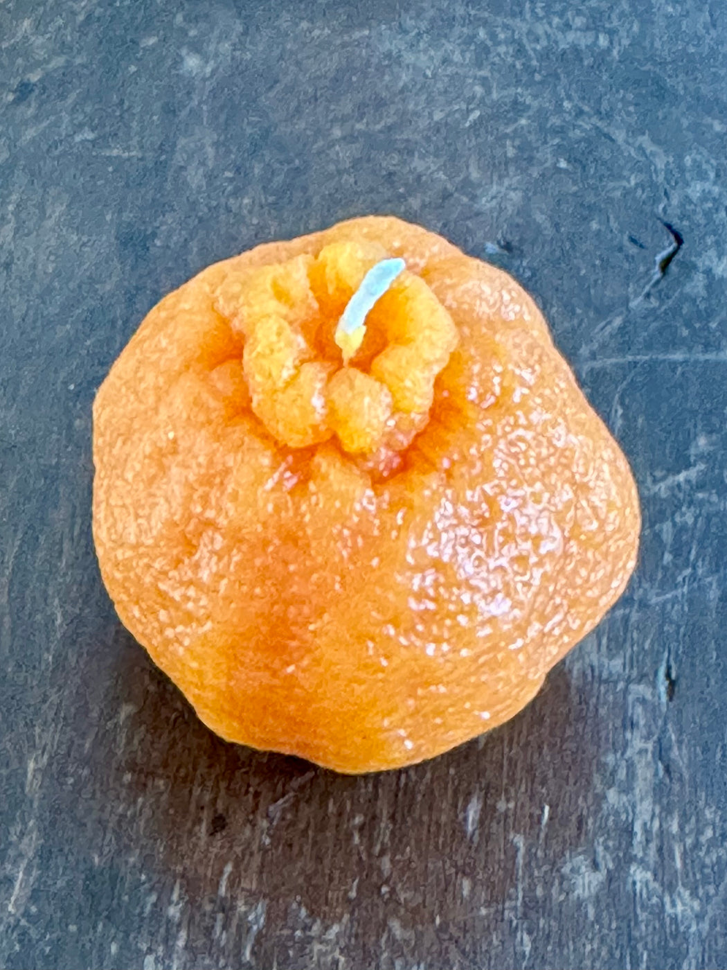 "Mandarin Orange" candle by Happy Organics
