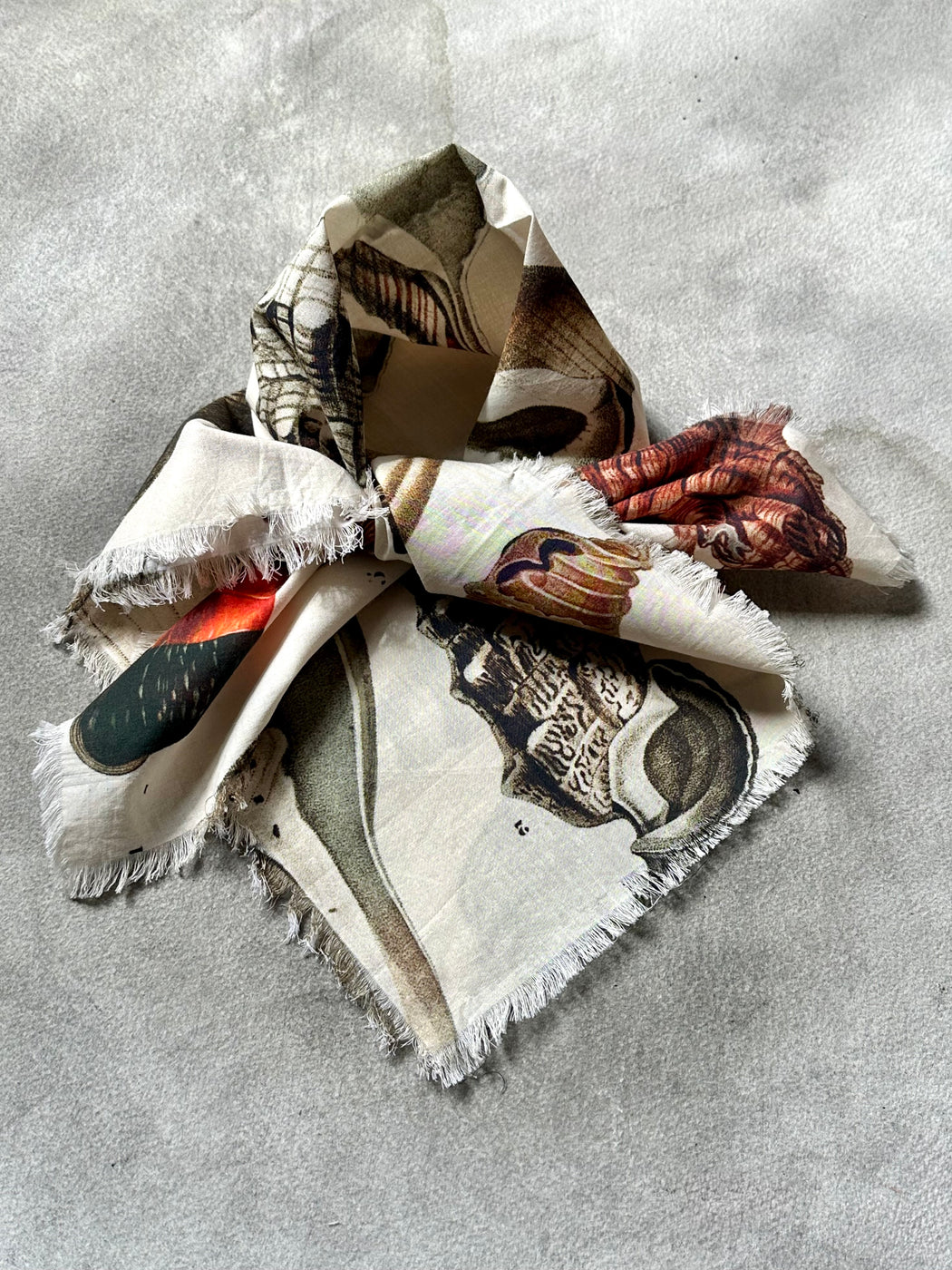 "Sea Shells" Cotton Scarf by Siren Song