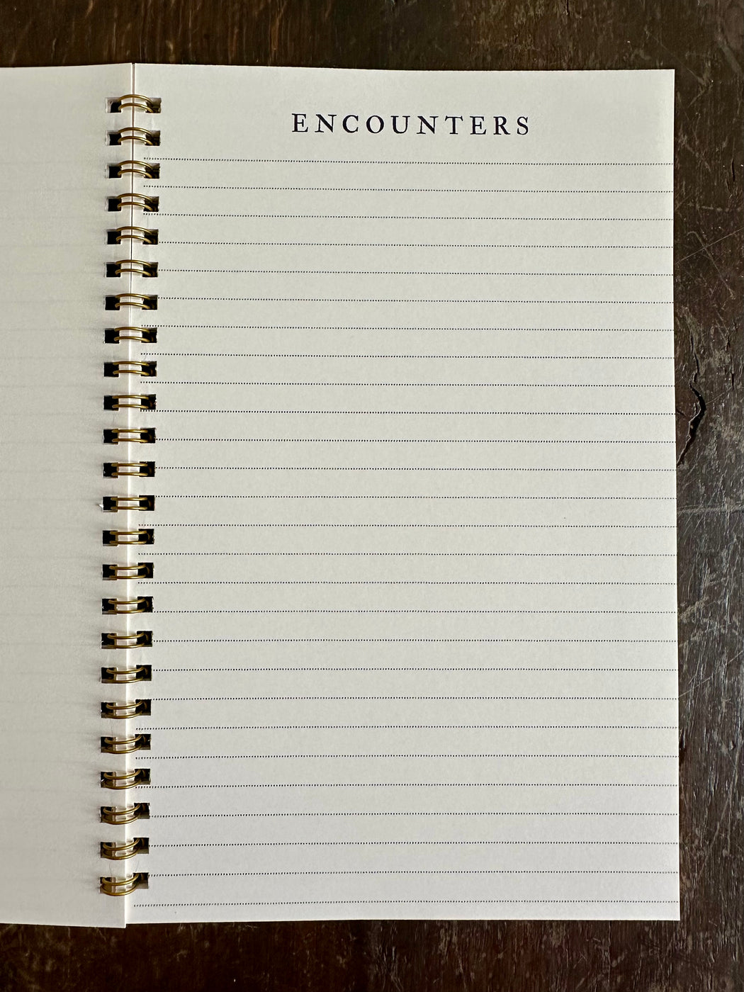 "Spectral Illusions & Ghosts" Notebook