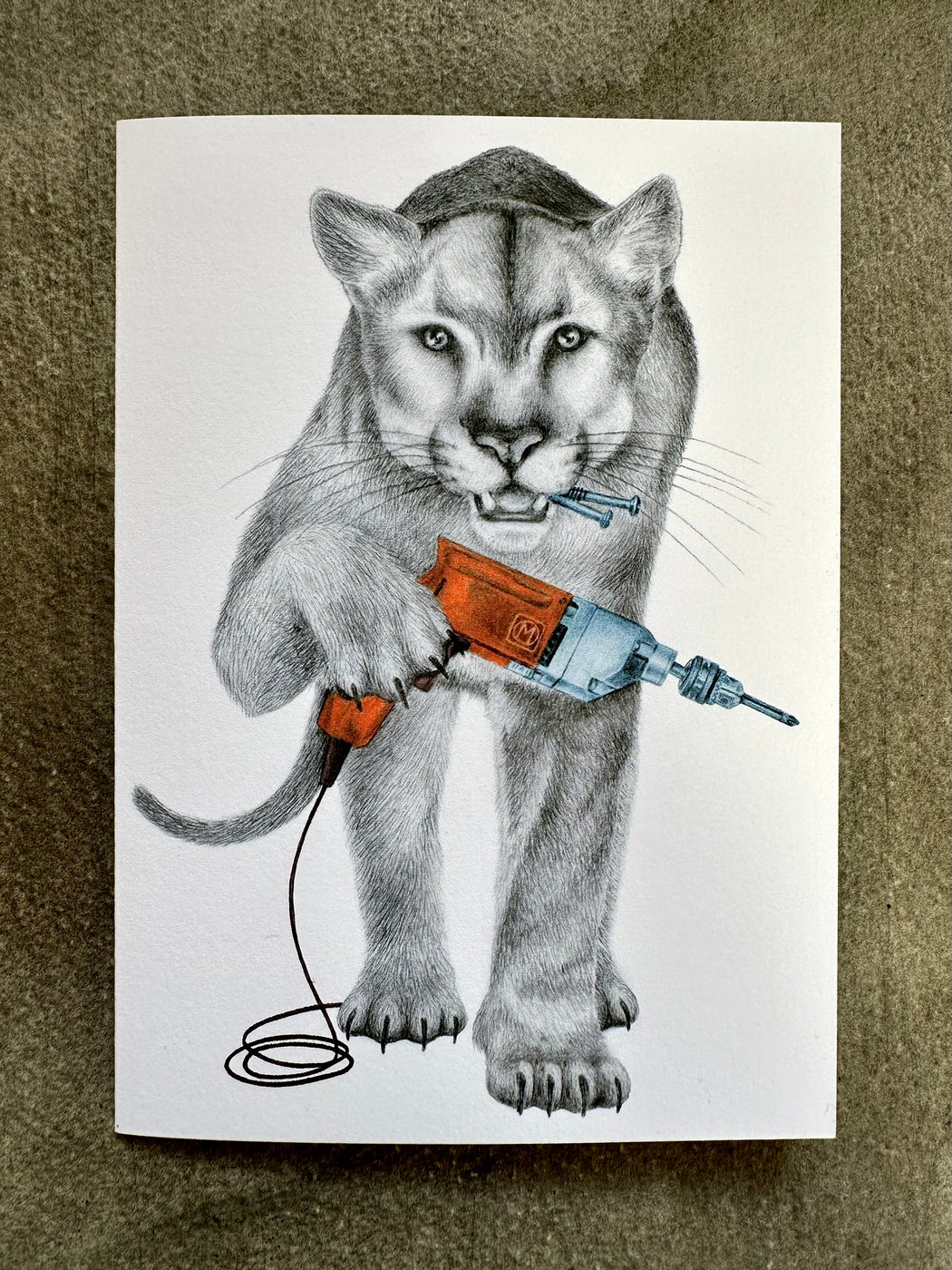 "Fin Laramie Florida Panther" Card