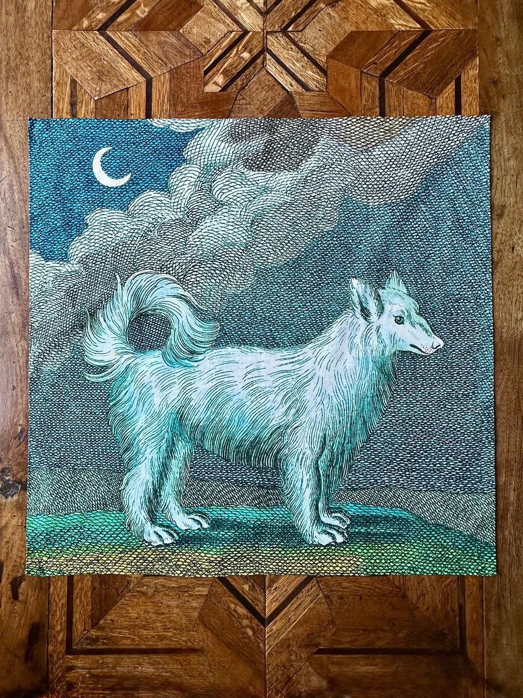 "Wolf Dog" Cotton Bandana by John Derian