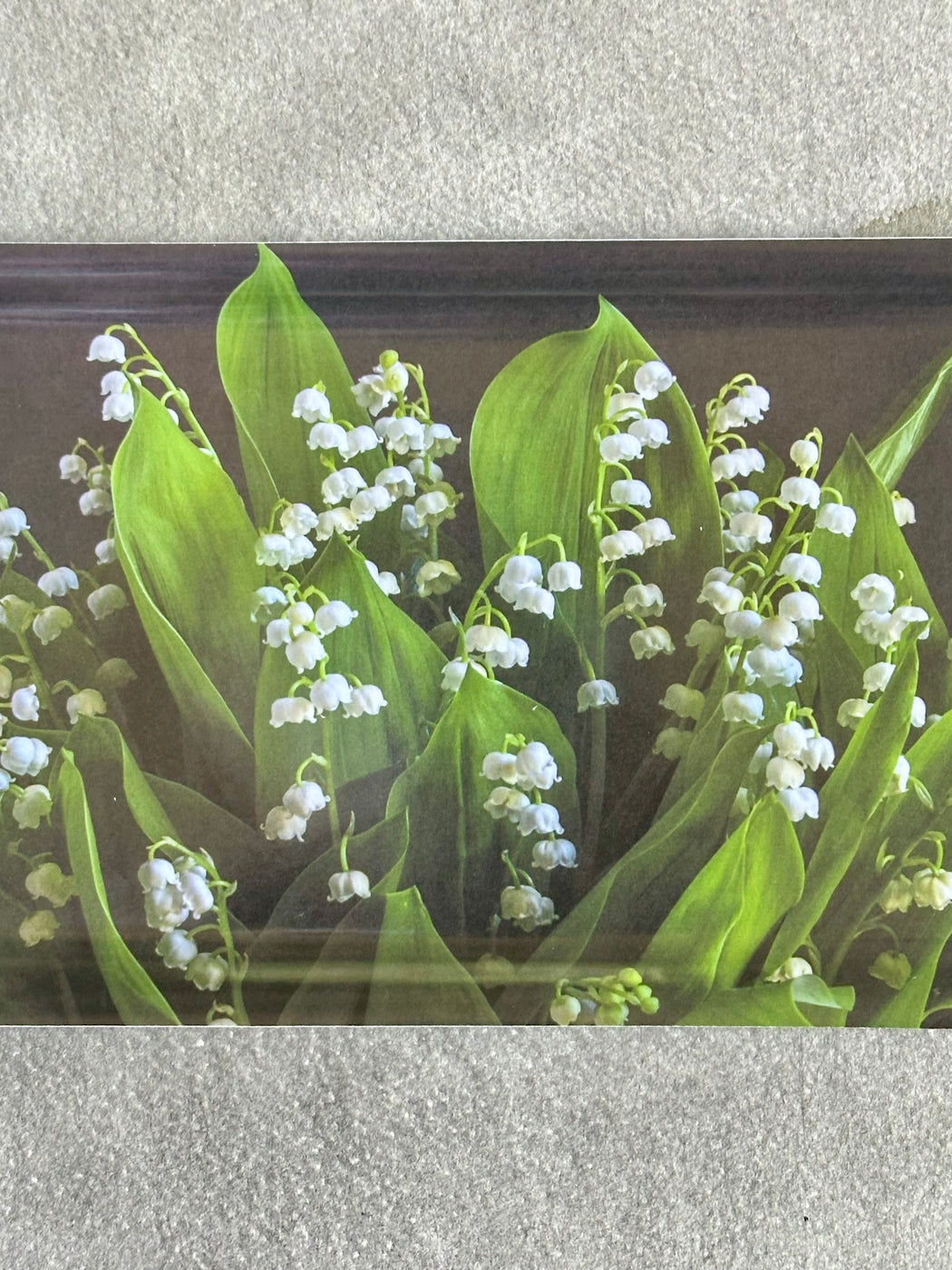 "Lilies-of-the-Valley" Small Birchwood Tray