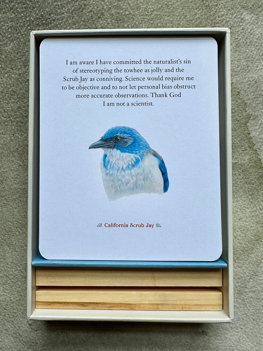 "The Backyard Bird Deck" by Amy Tan