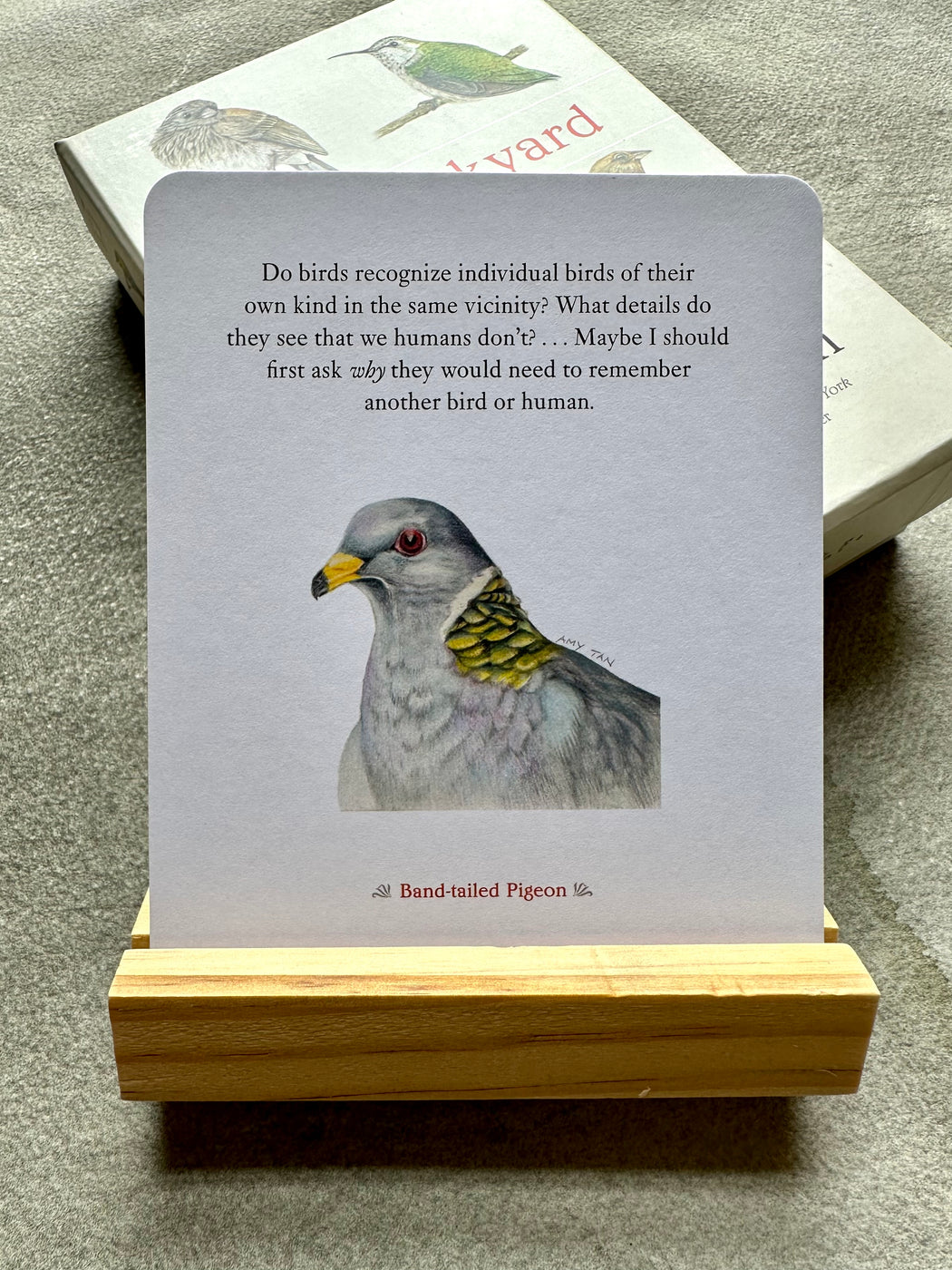 "The Backyard Bird Deck" by Amy Tan