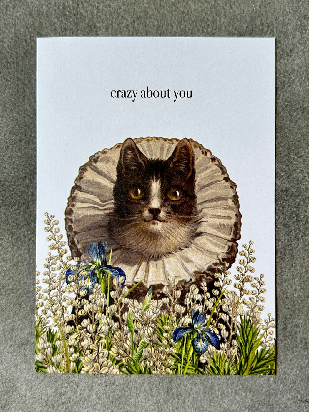 "Crazy About You" Card
