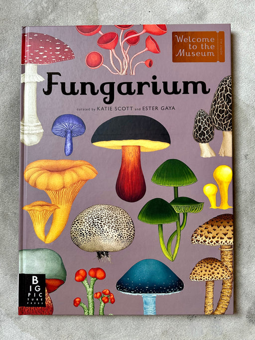 "Fungarium" by Katie Scott and Ester Gaya