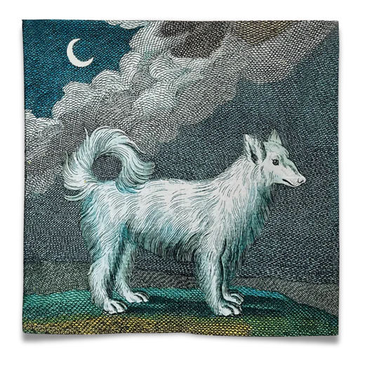 "Wolf Dog" Cotton Bandana by John Derian