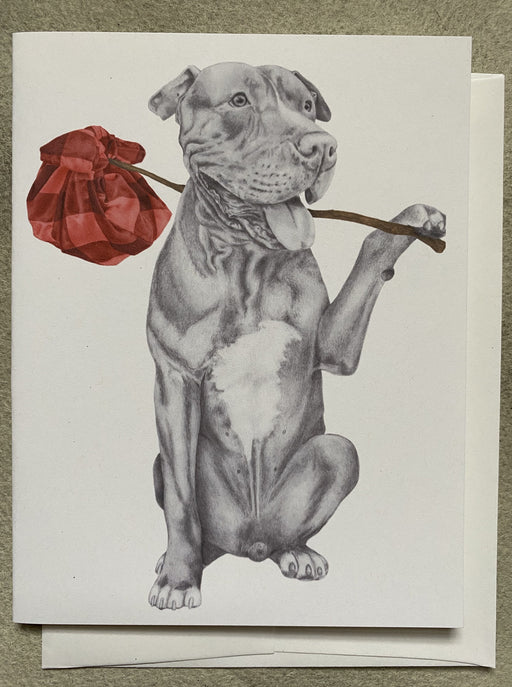 "Mac Ar Aghaidh Linn Pit Bull" Card