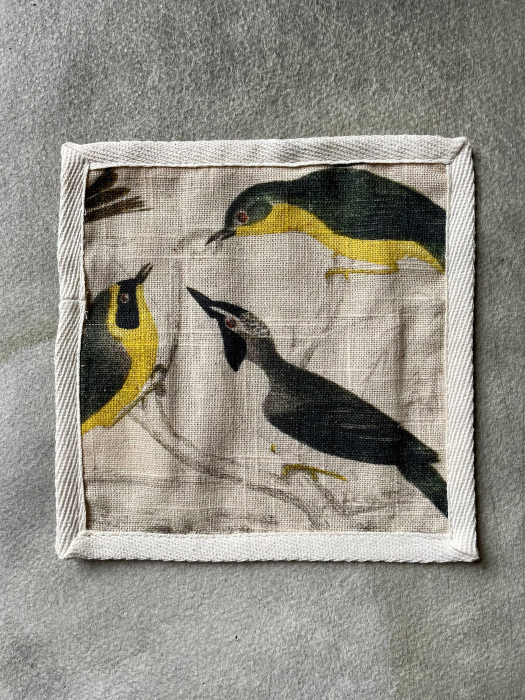 "Orinthology" Cocktail Napkins by Siren Song