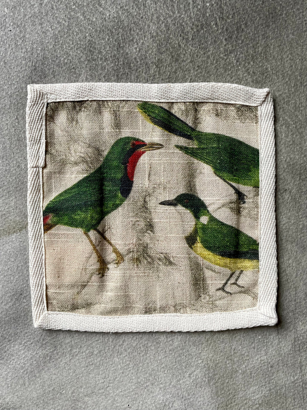"Orinthology" Cocktail Napkins by Siren Song