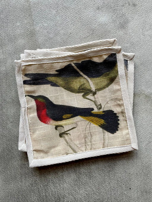 "Orinthology" Cocktail Napkins by Siren Song